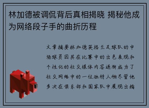 林加德被调侃背后真相揭晓 揭秘他成为网络段子手的曲折历程 林加德被调侃背后真相揭晓 揭秘他成为网络段子手的曲折历程